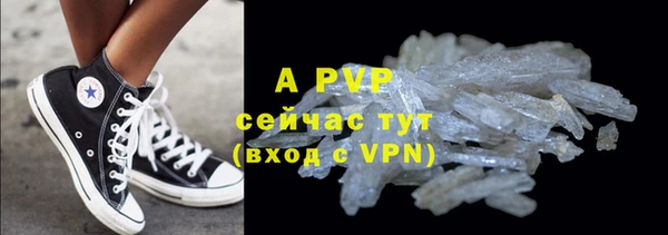 PSILOCYBIN Елизово