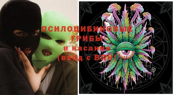 молекула духа Алзамай