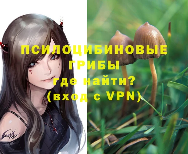 молекула духа Алзамай