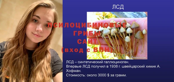 молекула духа Алзамай