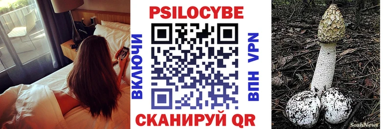сколько стоит  Лукоянов  Псилоцибиновые грибы мицелий 